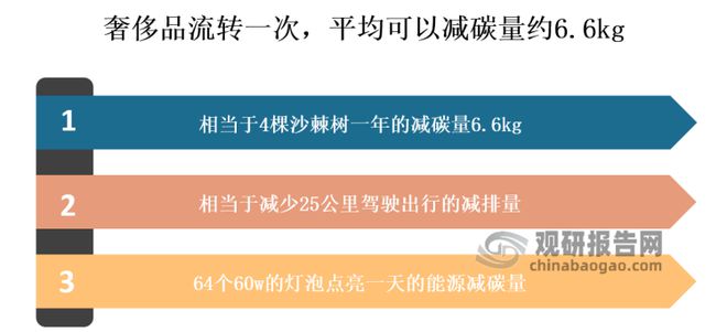 Bibo必博中国二手奢侈品行业深度研究与投资前景分析报告（2023-2030年）(图2)